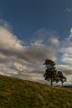 2017_08_08_Auvergne (0089)